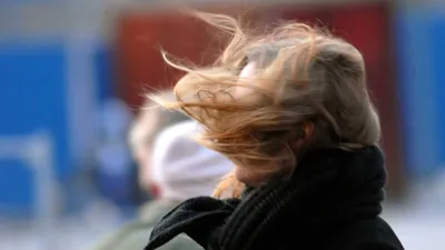 Bis zu 75 km/h: DWD warnt jetzt vor Sturmböen in Berlin und Brandenburg