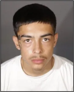 Five Serial Burglars Arrested NR26220ag - LAPD Online