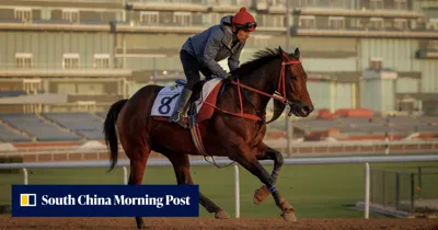 Romantic Warrior creating a buzz in Dubai: ‘We’re very lucky to have him here’