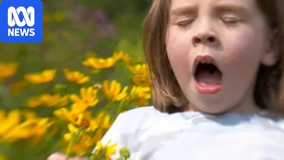 Bad hayfever season likely after Victoria's warm, wet winter