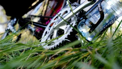 'Bike boy' admits to carjacking with young kids in back