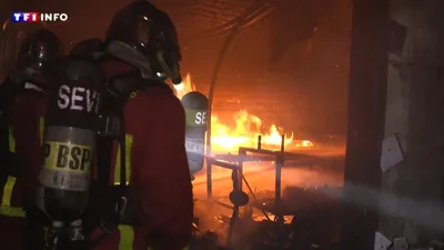 Paris : incendie violent au marché des Enfants Rouges dans le 3ᵉ arrondissement, le site entièrement ravagé | TF1 Info