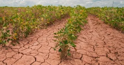 Brazil Faces an Economic Storm Threatening Agribusiness and Rural Credit.