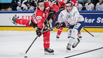 Eisbären holen neuen Stürmer mit viel Power