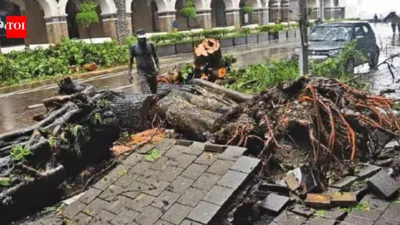 720 killed, 2,408 injured in Mumbai disasters over 6.5 years: RTI