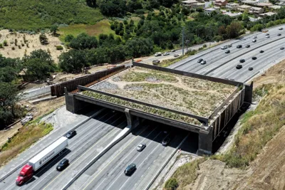 L.A. County is shutting down a major road near the 101 through November for construction of the world’s largest wildlife crossing