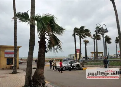 Thunderstorms and dusty weather across Egypt on Saturday, EMA warns - Egypt Independent