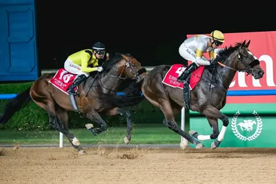Dubai Racing Carnival 2026: New restaurants coming to Meydan Racecourse