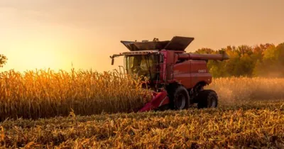 USDA Corn Shock Wipes Out Value as Grain Markets Tumble