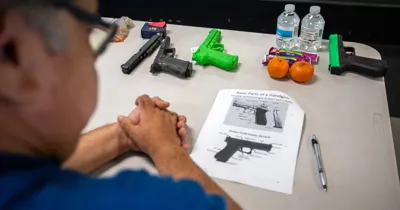 New gun control laws