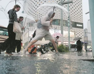 長雨ついに過去最長、東京都心で34日連続に レタスやコメにも悪影響 記録的日照不足で農作物に大打撃:東京新聞デジタル