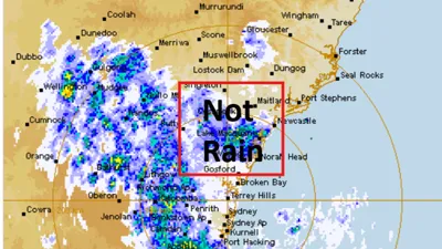 Clouds, but no rain? Moth swarms bamboozle the weather radar