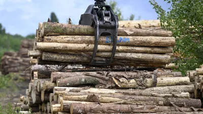 Investors are buying up vast tracts of timberland across U.S. in one of market's longest-term bets