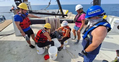 An 'ecological collapse' has been unfolding in the Gulf since the 2010 Deepwater Horizon oil spill